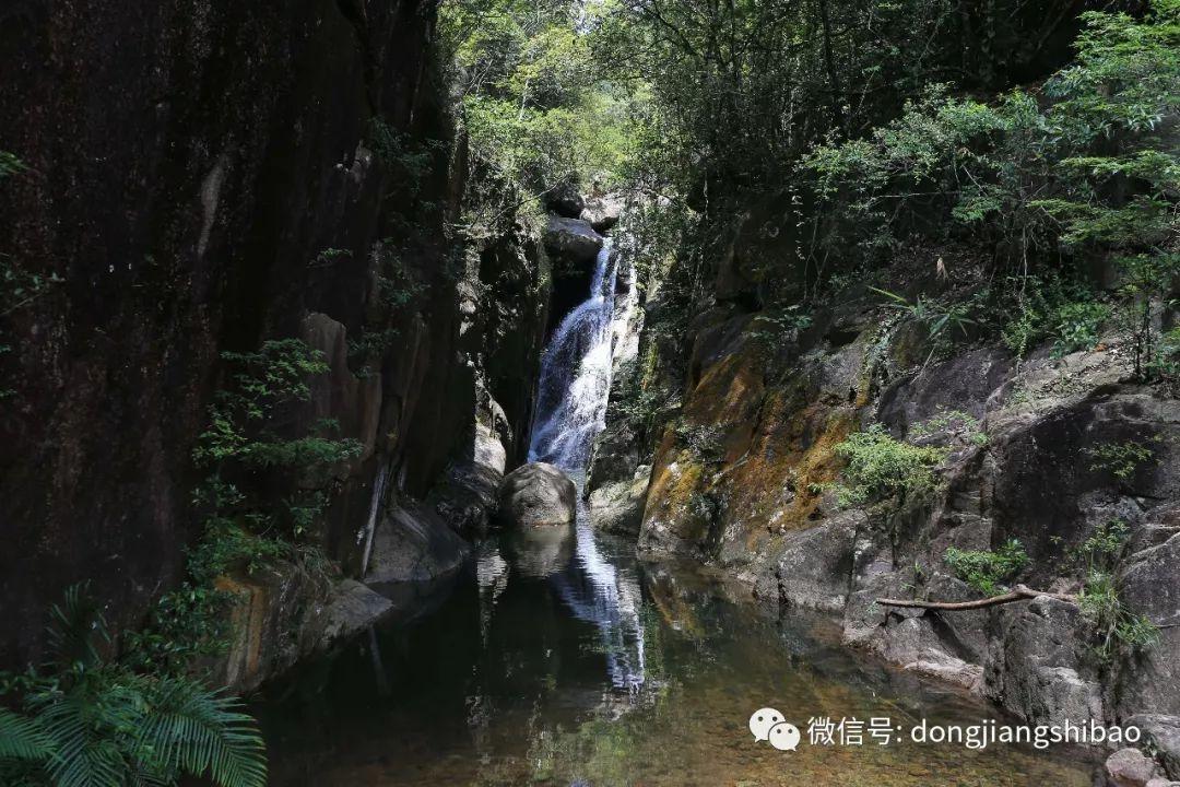 我60岁了，想要找位老板陪伴余生，但是遭到了子女的反对